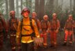 Fire Country Review: CBS Drama Spotlights Inmate Firefighters