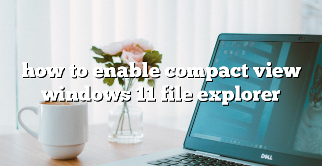 how to enable compact view windows 11 file explorer