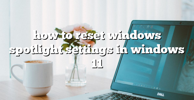 how to reset windows spotlight settings in windows 11