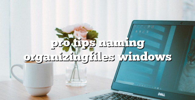 pro tips naming organizingfiles windows