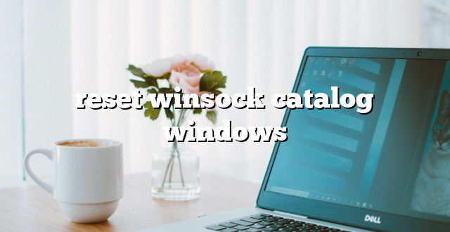 reset winsock catalog windows