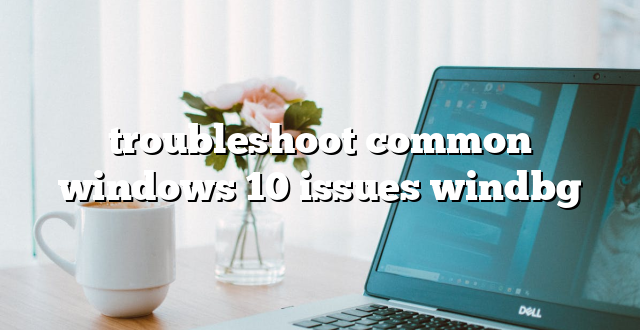 troubleshoot common windows 10 issues windbg