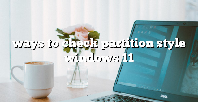 ways to check partition style windows 11