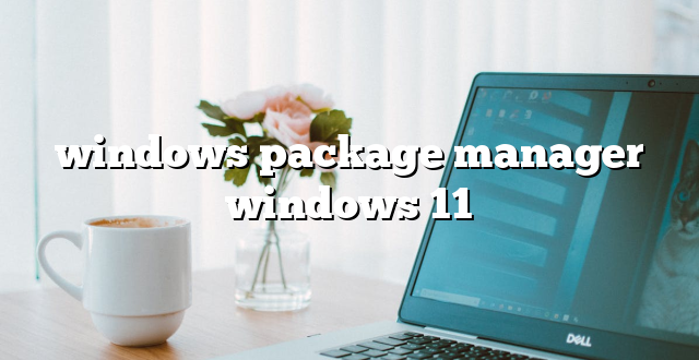 windows package manager windows 11